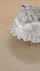 Sea Shell Platter with Peacock