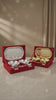 Premium Silver-Plated Bowl Set with Serving Tray & Spoons – Velvet Gift Box