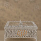 Premium Silver-Tone Peacock Dry Fruit Box with Decorative Lid